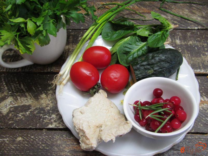 Фото приготовление рецепта: Овощной салат с клюквой и индейкой шаг №1