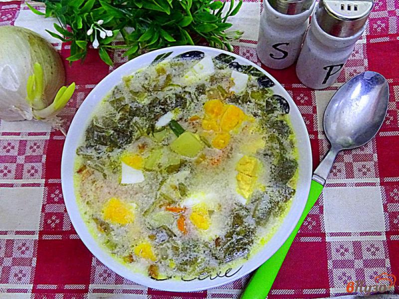 Фото приготовление рецепта: Суп из замороженного щавеля с яйцами и сметаной шаг №8