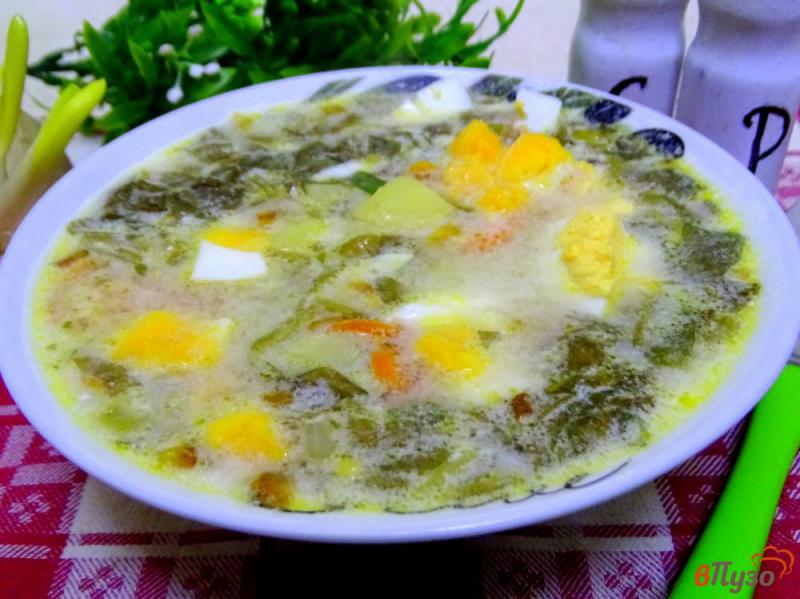 Фото приготовление рецепта: Суп из замороженного щавеля с яйцами и сметаной шаг №7