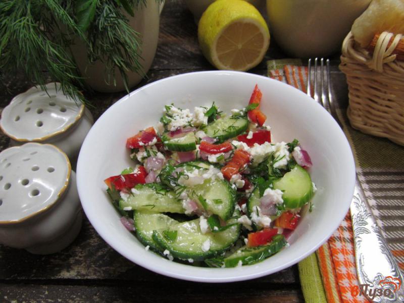 Фото приготовление рецепта: Греческий салат из огурцов шаг №7