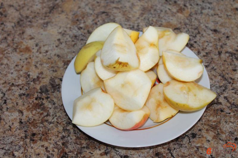 Фото приготовление рецепта: Курица с яблоками в медово - горчичном соусе шаг №2