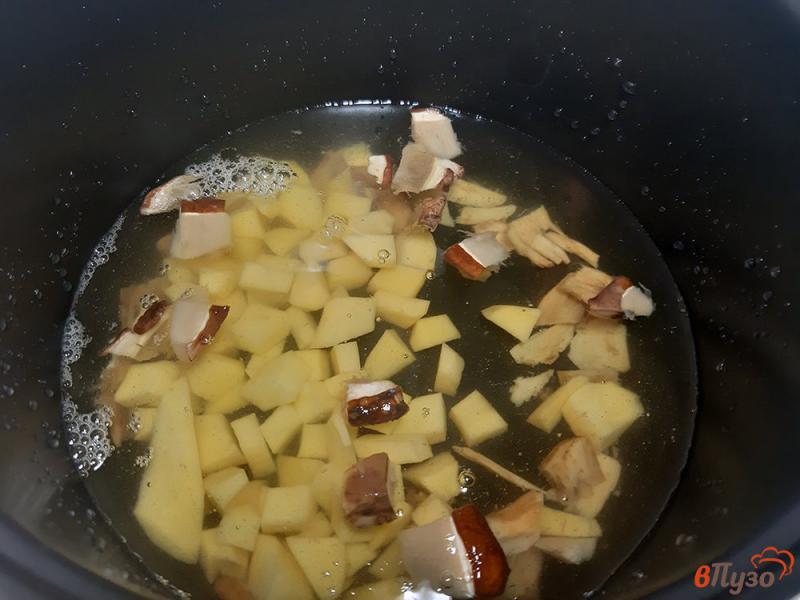 Фото приготовление рецепта: Суп из сушеных белых грибов в мультиварке шаг №7