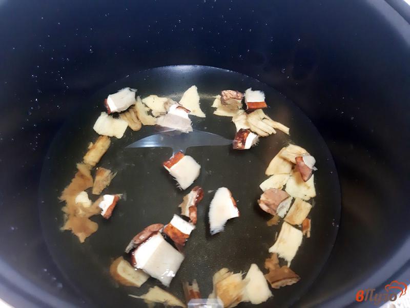 Фото приготовление рецепта: Суп из сушеных белых грибов в мультиварке шаг №6