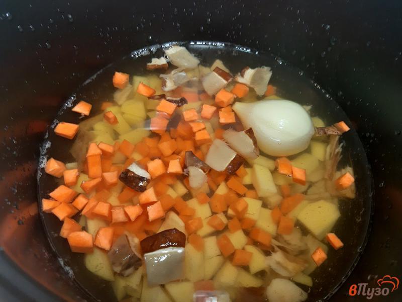 Фото приготовление рецепта: Суп из сушеных белых грибов в мультиварке шаг №8