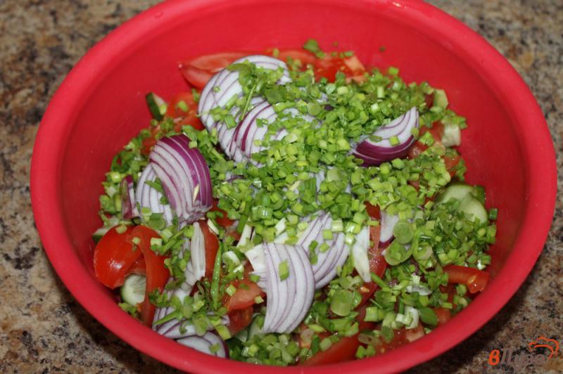Фото приготовление рецепта: Овощной салат с красным и зеленым луком шаг №4