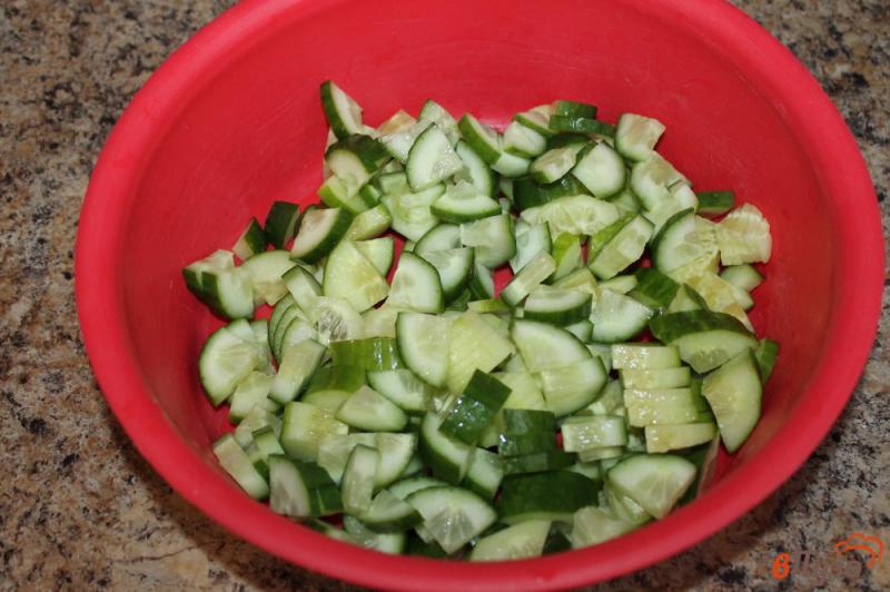 Фото приготовление рецепта: Овощной салат с красным и зеленым луком шаг №1