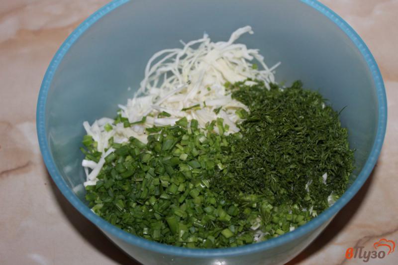 Фото приготовление рецепта: Капустный салат с огурцом и миксом зелени шаг №2