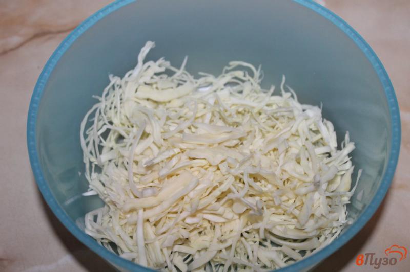 Фото приготовление рецепта: Капустный салат с огурцом и миксом зелени шаг №1