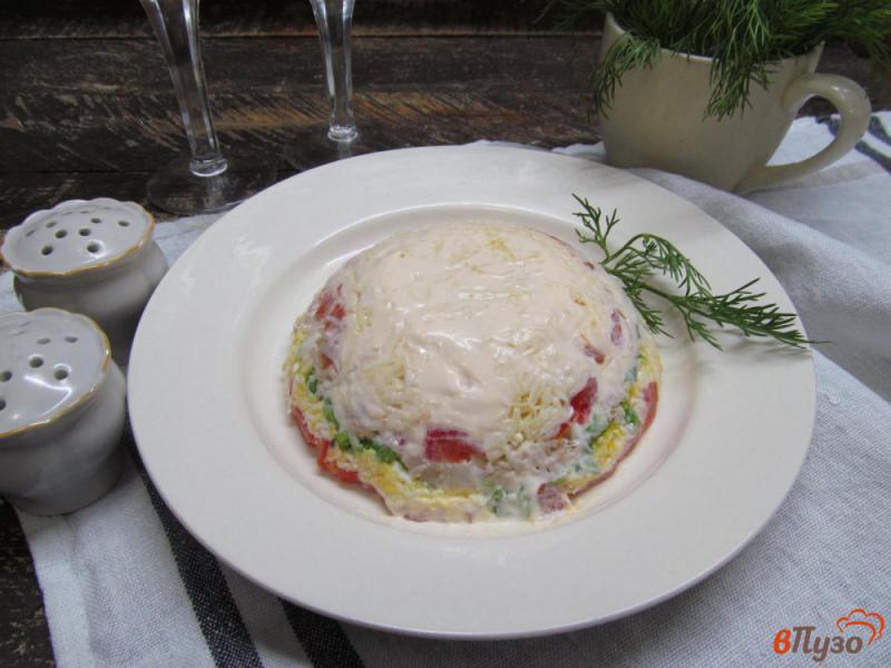 Фото приготовление рецепта: Слоеный мясной салат из помидора с сыром шаг №9