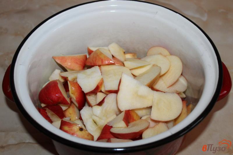 Фото приготовление рецепта: Яблочно - цитрусовый напиток шаг №1