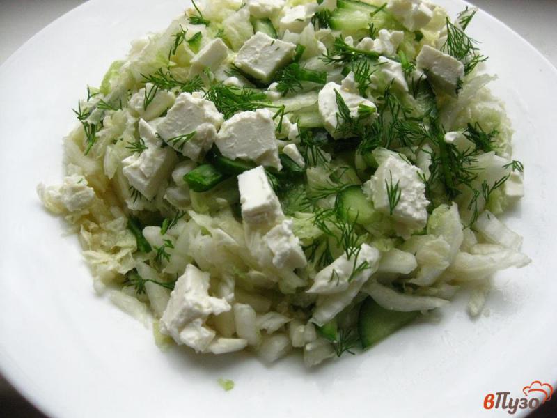 Фото приготовление рецепта: Салат из капусты с брынзой шаг №4