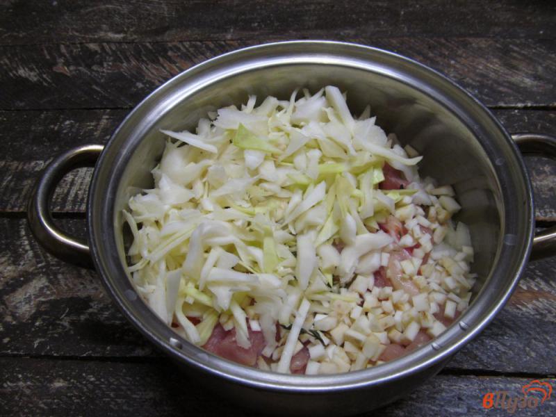Фото приготовление рецепта: Суп из индейки с капустой и пастой орзо шаг №2