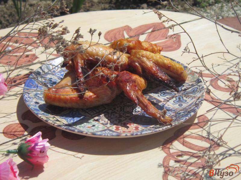 Фото приготовление рецепта: Куриные крылышки в духовке в кетчупе и соевом соусе шаг №4