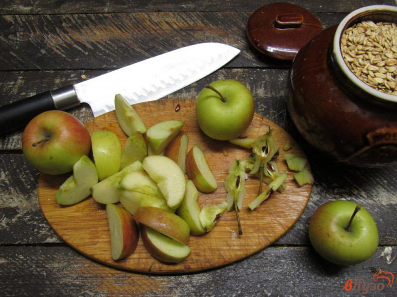 Фото приготовление рецепта: Овсяная каша с яблоком и медом шаг №3