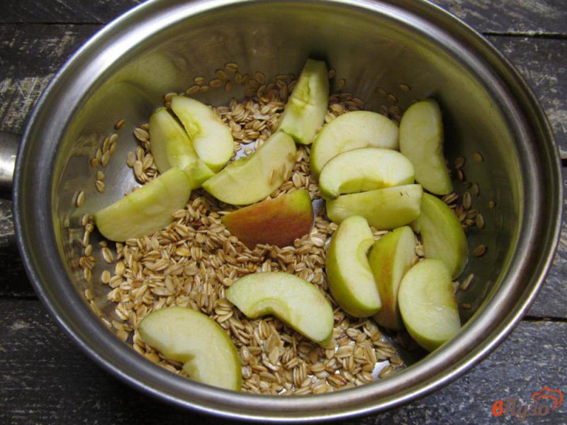 Фото приготовление рецепта: Овсяная каша с яблоком и медом шаг №4