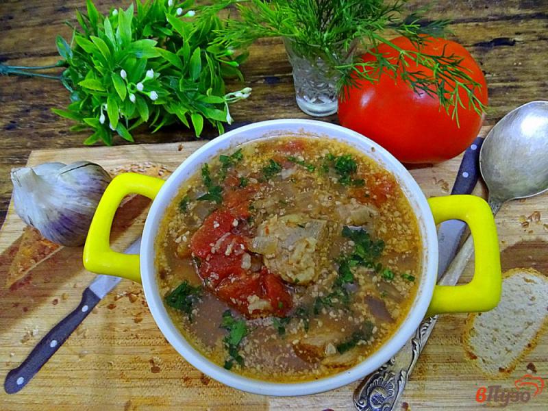 Фото приготовление рецепта: Суп харчо со свининой шаг №9