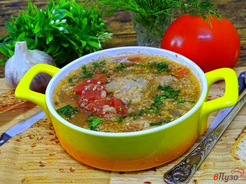 Фото приготовление рецепта: Суп харчо со свининой шаг №10