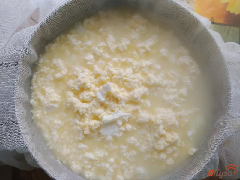 Фото приготовление рецепта: Сыр в домашних условиях шаг №9