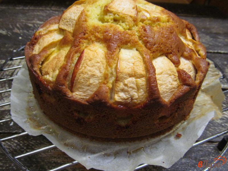Фото приготовление рецепта: Пирог на кефире с яблочной начинкой шаг №8