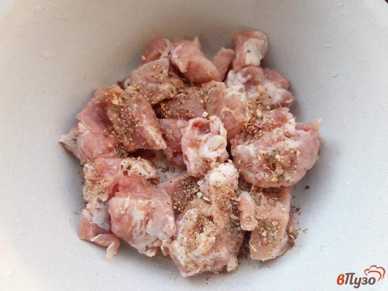 Фото приготовление рецепта: Шашлык из свинины в мультиварке шаг №2