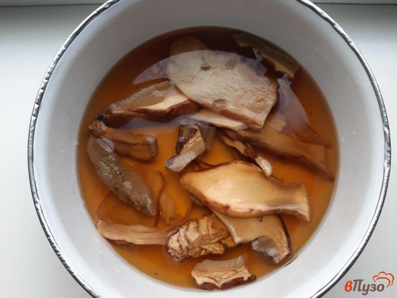 Фото приготовление рецепта: Солянка с сушеными грибами шаг №2