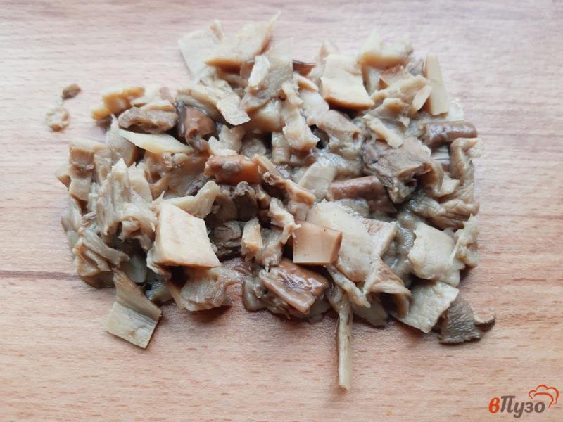 Фото приготовление рецепта: Солянка с сушеными грибами шаг №7