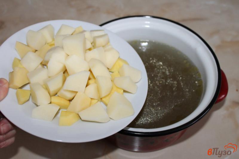 Фото приготовление рецепта: Суп с булгуром фрикадельками и грибами шаг №1
