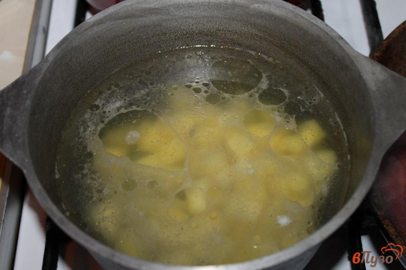 Фото приготовление рецепта: Овощной борщ с салом и чесноком шаг №2