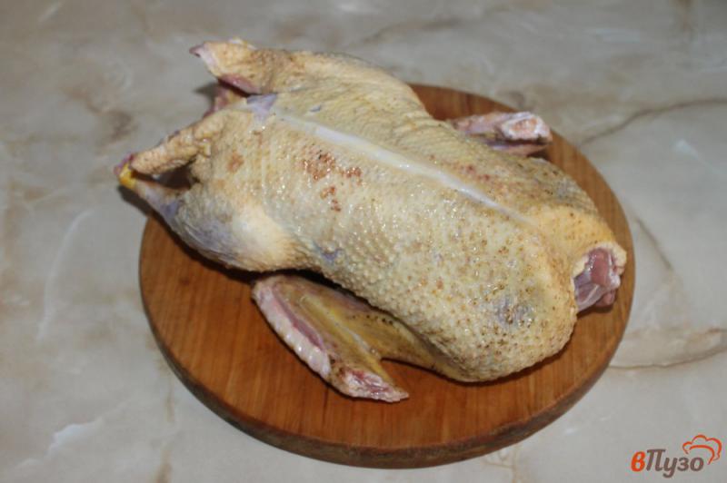 Фото приготовление рецепта: Молодая утка запеченная в горчично - медовом маринаде шаг №1