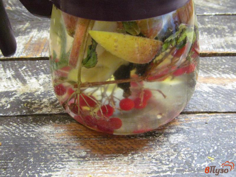 Фото приготовление рецепта: Напиток из калины с яблоком и розмарином шаг №3