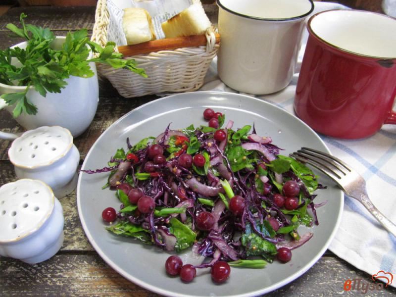 Фото приготовление рецепта: Салат из краснокочанной капусты со шпинатом и красной смородиной шаг №5