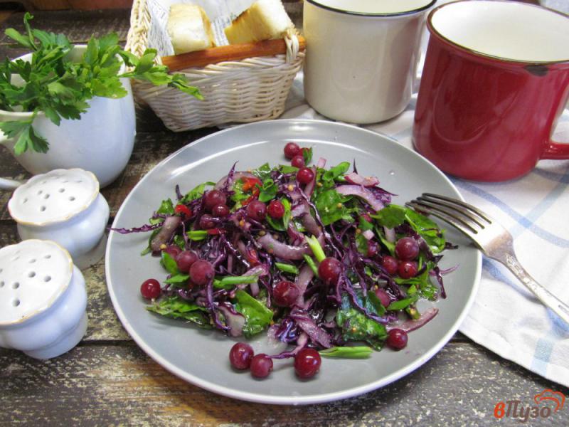 Фото приготовление рецепта: Салат из краснокочанной капусты со шпинатом и красной смородиной шаг №6