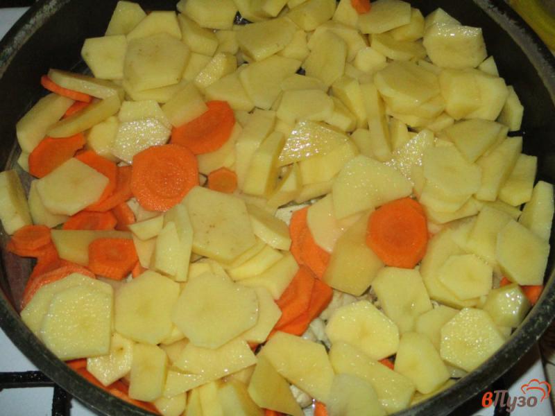 Фото приготовление рецепта: Рагу из куриной грудки с картофелем, помидорами и морковью шаг №2