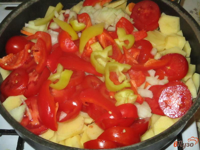 Фото приготовление рецепта: Рагу из куриной грудки с картофелем, помидорами и морковью шаг №3