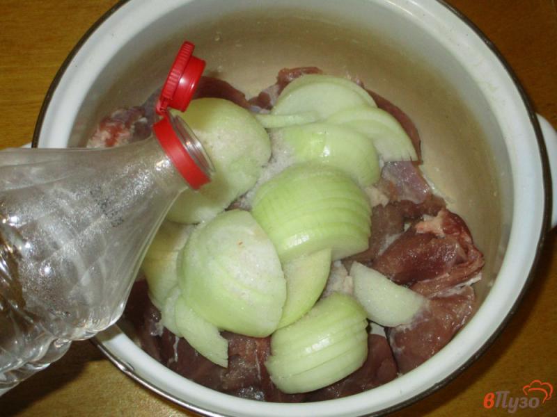Фото приготовление рецепта: Шашлык из свинины в классическом маринаде шаг №3