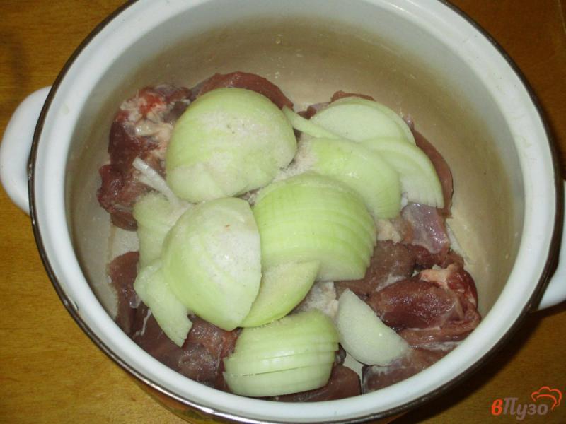 Фото приготовление рецепта: Шашлык из свинины в классическом маринаде шаг №2