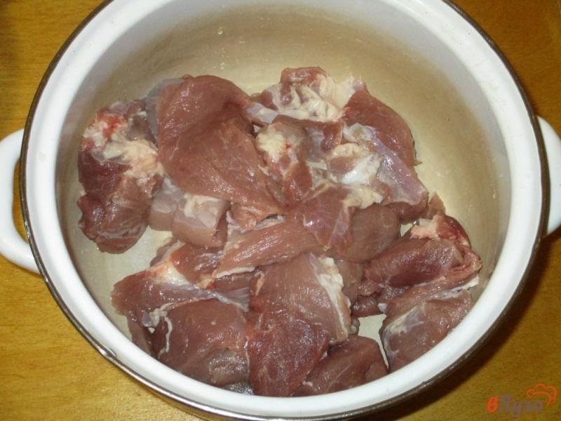 Фото приготовление рецепта: Шашлык из свинины в классическом маринаде шаг №1