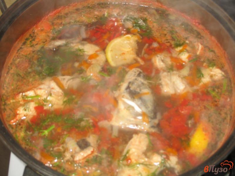 Фото приготовление рецепта: Суп из скумбрии с овощами шаг №4