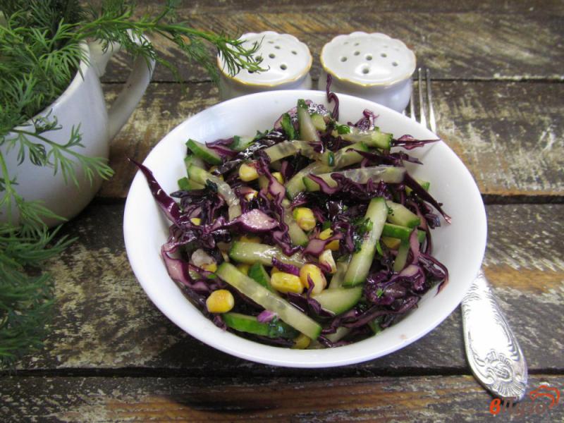 Фото приготовление рецепта: Салат из красной капусты и огурца шаг №5