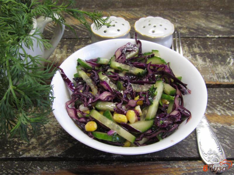Фото приготовление рецепта: Салат из красной капусты и огурца шаг №6