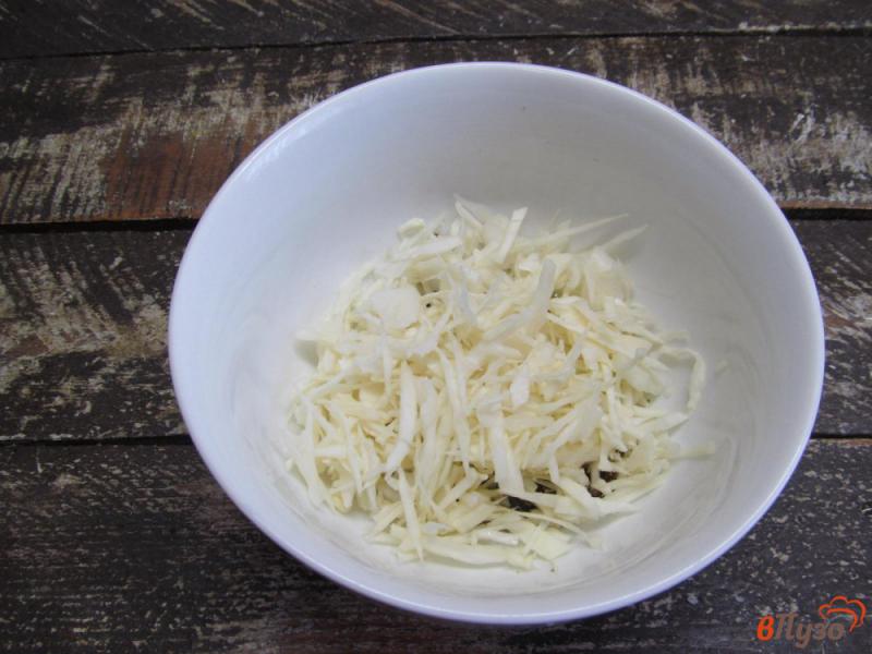 Фото приготовление рецепта: Овощной салат из капусты с морковью по-корейски шаг №2