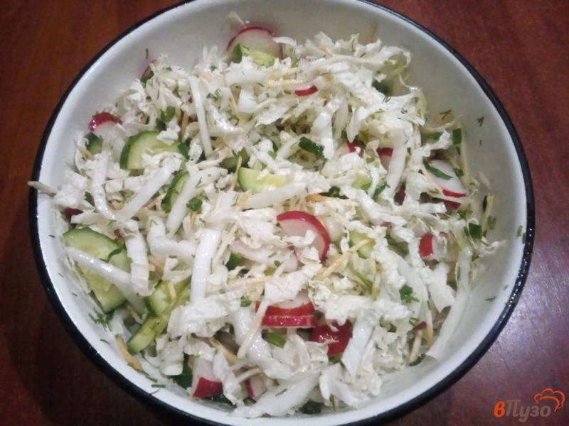 Фото приготовление рецепта: Салат из пекинской капусты, огурца и редиски шаг №6
