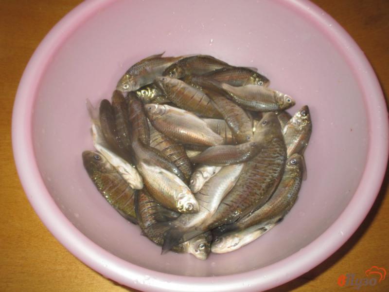Фото приготовление рецепта: Жареная речная рыба шаг №1