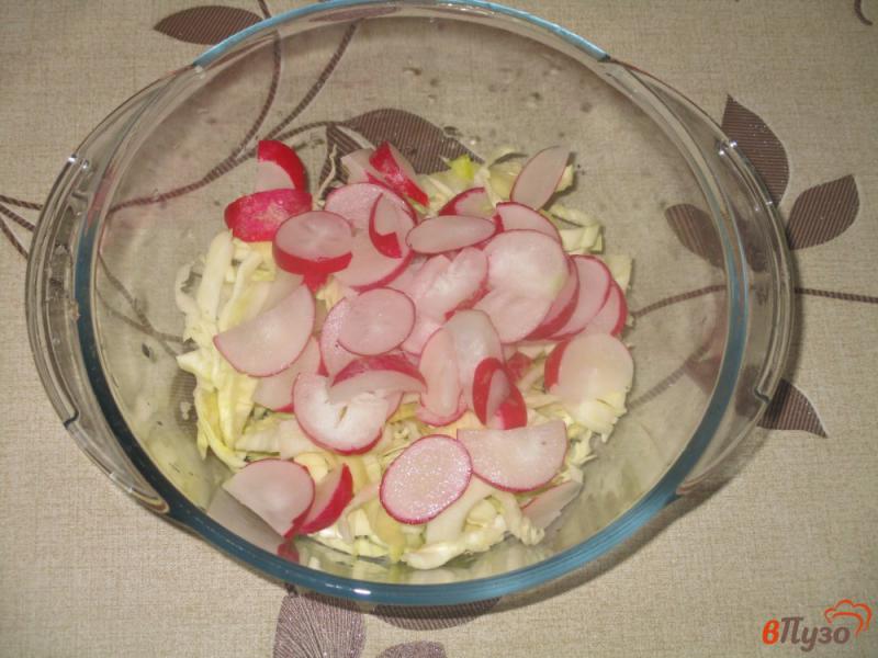 Фото приготовление рецепта: Салат «Весенний» с капустой и редисом шаг №1