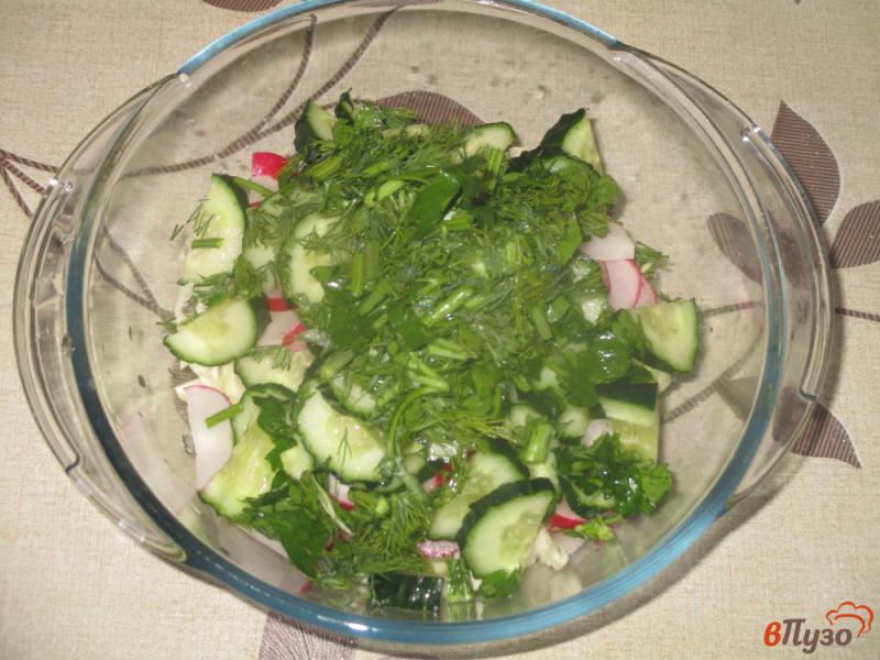 Фото приготовление рецепта: Салат «Весенний» с капустой и редисом шаг №2