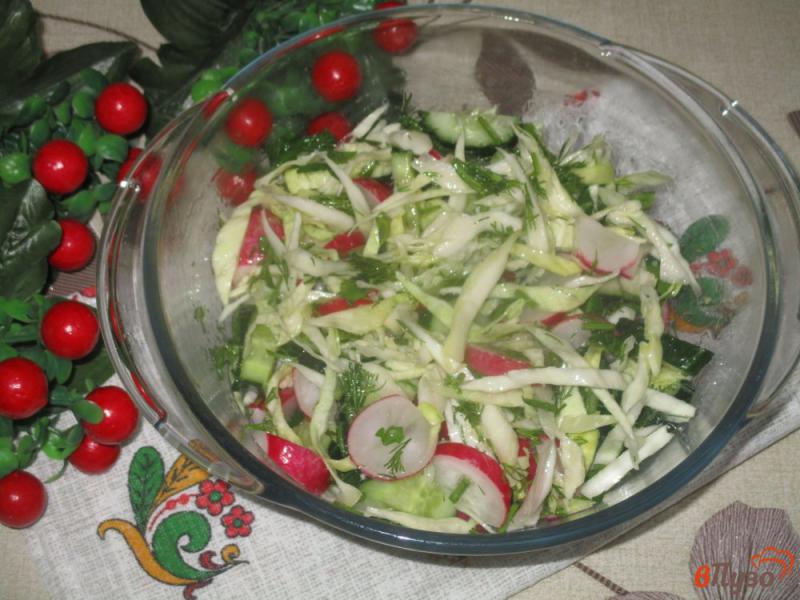 Фото приготовление рецепта: Салат «Весенний» с капустой и редисом шаг №3