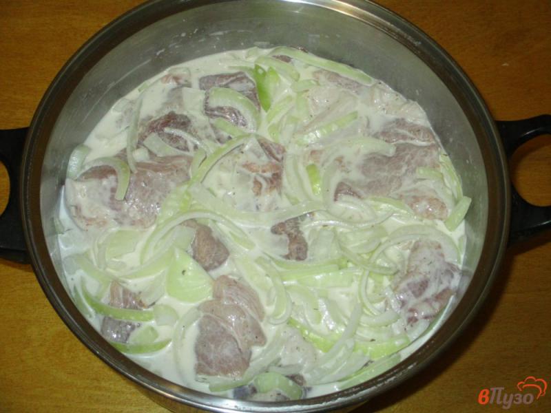 Фото приготовление рецепта: Шашлык из свинины в майонезном маринаде с минералкой шаг №3