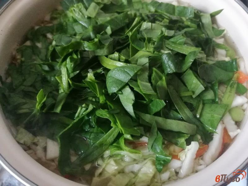 Фото приготовление рецепта: Суп овощной на говяжьем бульоне шаг №9
