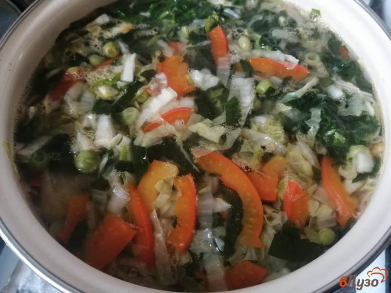 Фото приготовление рецепта: Суп овощной на говяжьем бульоне шаг №10