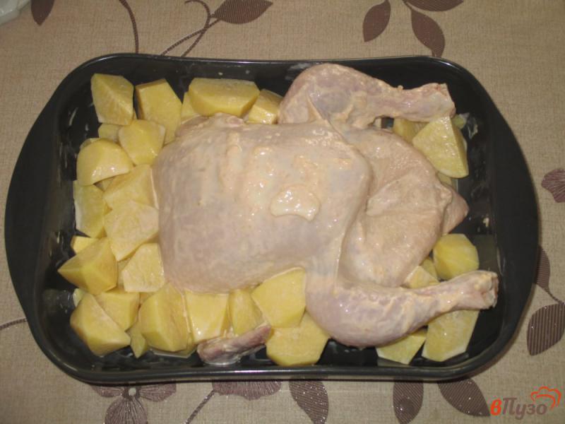 Фото приготовление рецепта: Курица запеченная с картофелем в духовке шаг №7